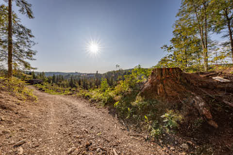 Gemeinde Hochburg-Ach Bezirk Braunau Wanghausen Aussicht Raitenhaslach (Dirschl Johann) Österreich BR